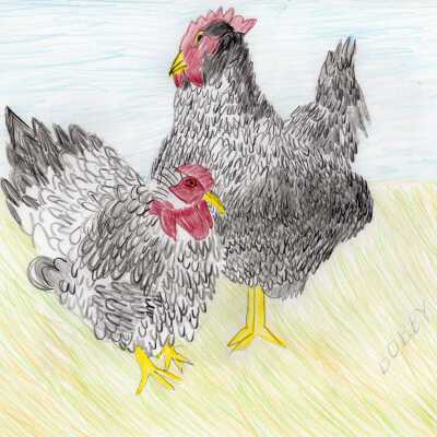 Aspen 19th Ave - Bobby Martin - Chickens in the Backyard - 2019