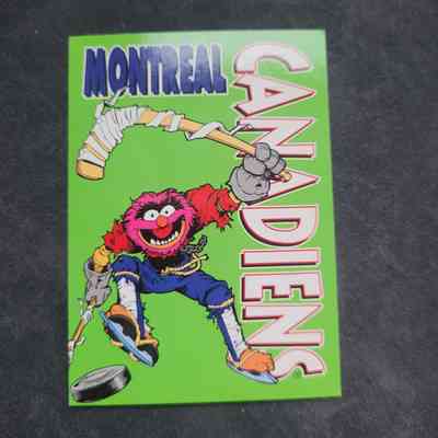 Montreal Canadiens: Team Facts (Animal)
