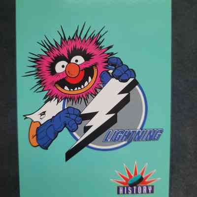 Tampa Bay Lightning: Team History (Animal)