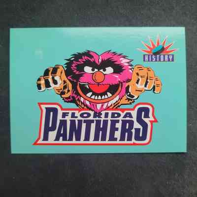 Florida Panthers: Team History (Animal)