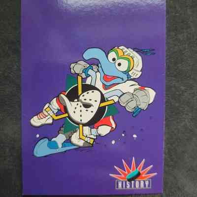 Anaheim Mighty Ducks: Team History (Gonzo)