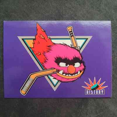 San Jose Sharks: Team History (Animal)