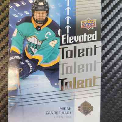 24-25 Micah Zandee-Hart Elevated Talent New York Sirens