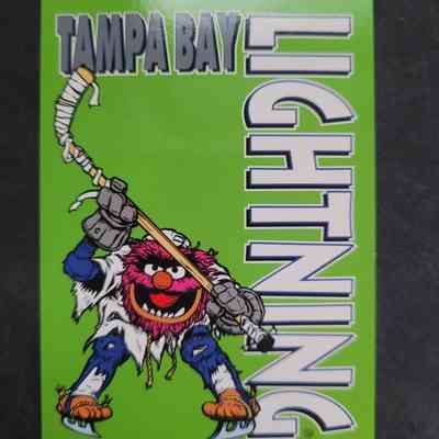 Tampa Bay Lightning: Team Facts (Animal)