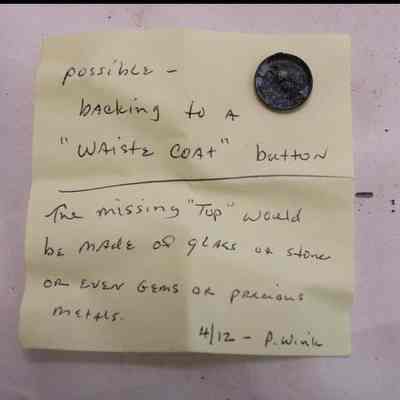 Waisted coat button