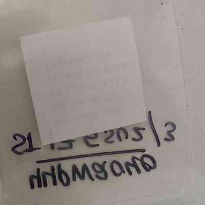 Unidentified Bottle Fragment; Clear