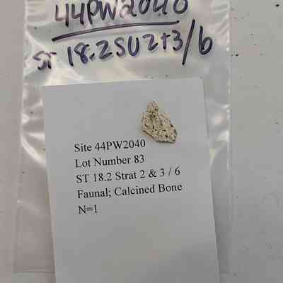 Fanual; Caleined Bone