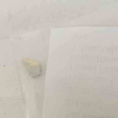 Pearlware; Underglaze Painted Floral High-Temp Colors