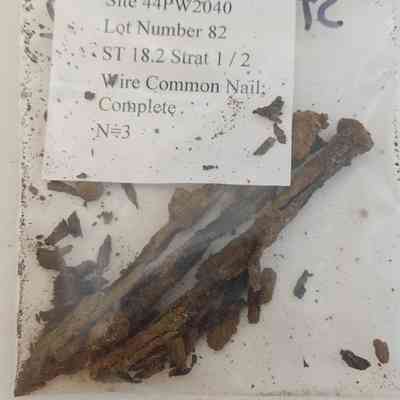 Wire Common Nail; Complete
