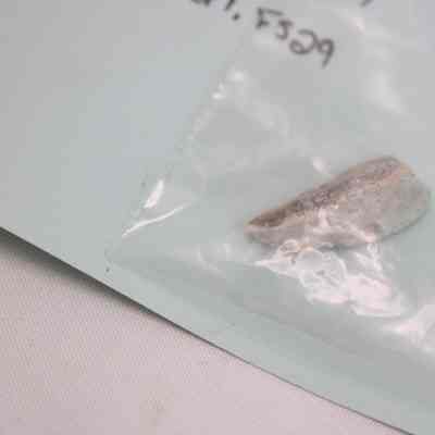 Green flint or Grey slate fragment