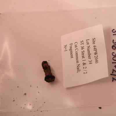 Cut Common nail Fragment