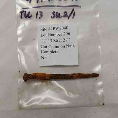 Cut Common Nail; Complete