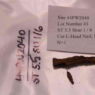 Cut L-Head Nail fragment