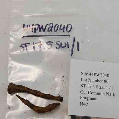 Cut Common Nail; Fragment