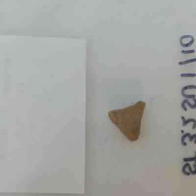 Buff-Bodfied Earthenware Unglazed