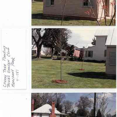 Trowel Garden Club Cherry Tree Planting, April 1989