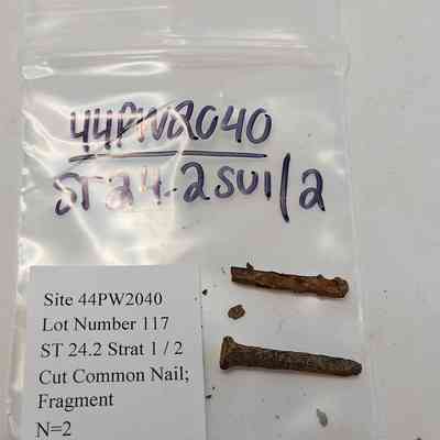Cut Common Nail Fragment