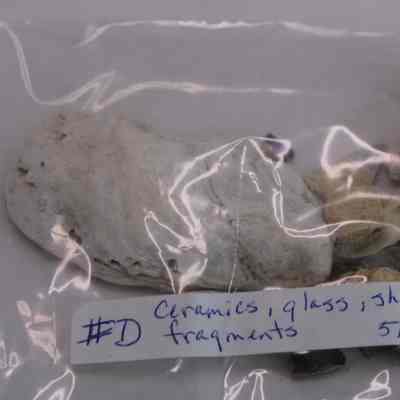 Ceramic, Glass, Shell and Pipe fragments