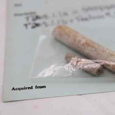 White Ball Clay Tobacco Pipoe Stem Fragment