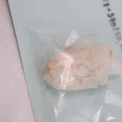 Prehistoric Projectile Point