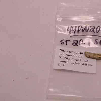 Faunal; Calcined Bone