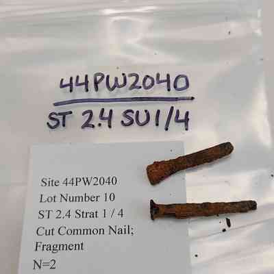 Cut Common Nail Fragment