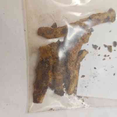 Unidentified Nail; Cut or Wrought