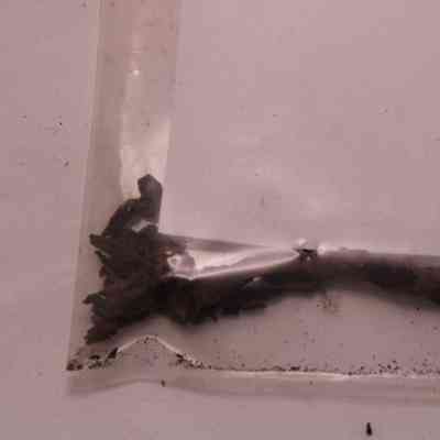 Wire Common Nail Complete