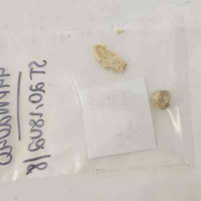 Faunal Bone