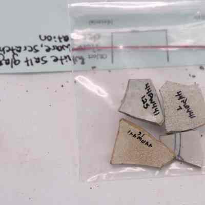 Stone Ware fragments