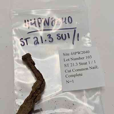 Cut Common Nail; Complete