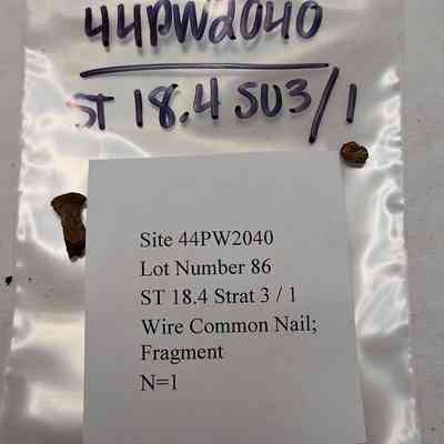Wire Common Nail; Fragment