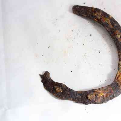 Horse Shoe