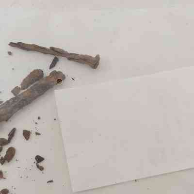Cut Common Nail Fragment