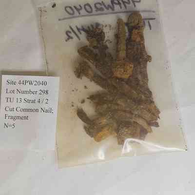 Cut Common Nail; Fragment