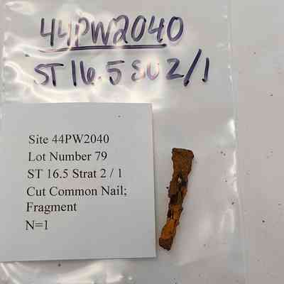 Cut Common Nail; Fragment