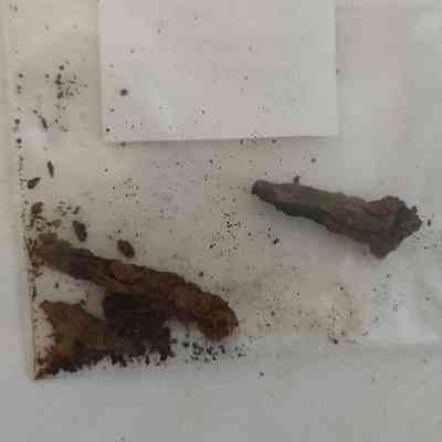 Cut Common Nail; fragment