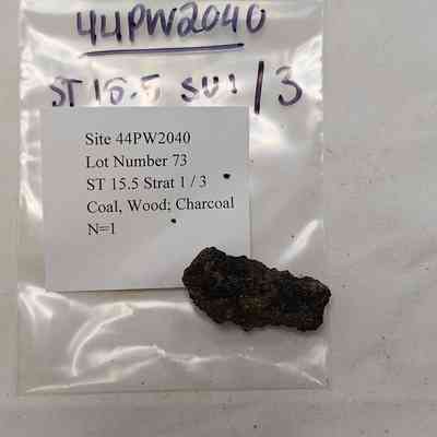 Coal, Wood; Charcoal