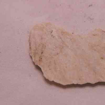 fragment