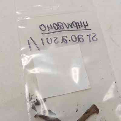 Wire Common Nail; Complete