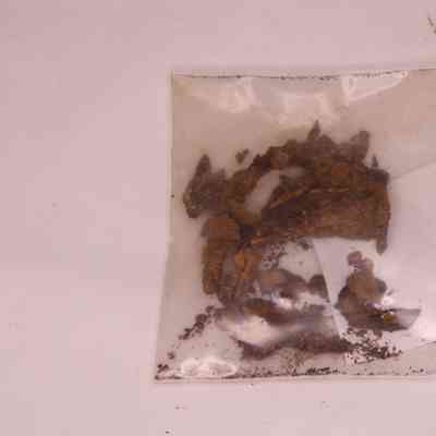cut common nail fragment