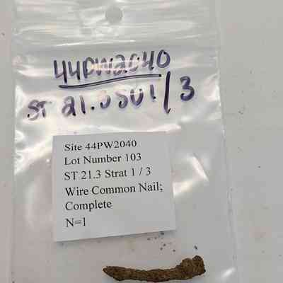 Wire Common Nail; Complete