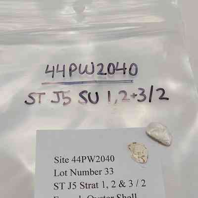 Faurnal; Oyster Shell Fragments