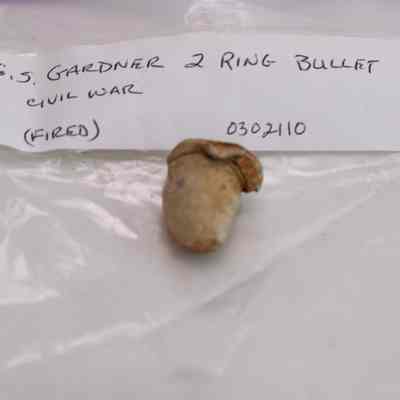 2 Ring Bullet