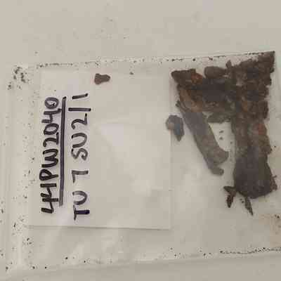 Cut Common Nail; Complete