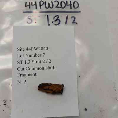 Cut Common Nail Fragment