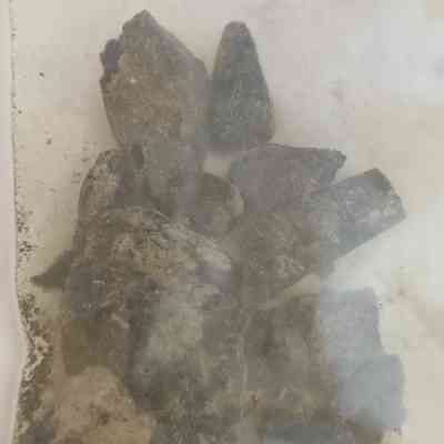 Coal, Wood; Charcoal