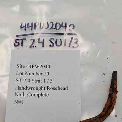 Handwrought Rosehead Nail; Complete