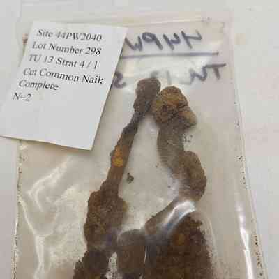 Cut Common Nail; Complete