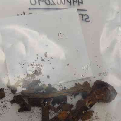 Cut Common Nail Fragment